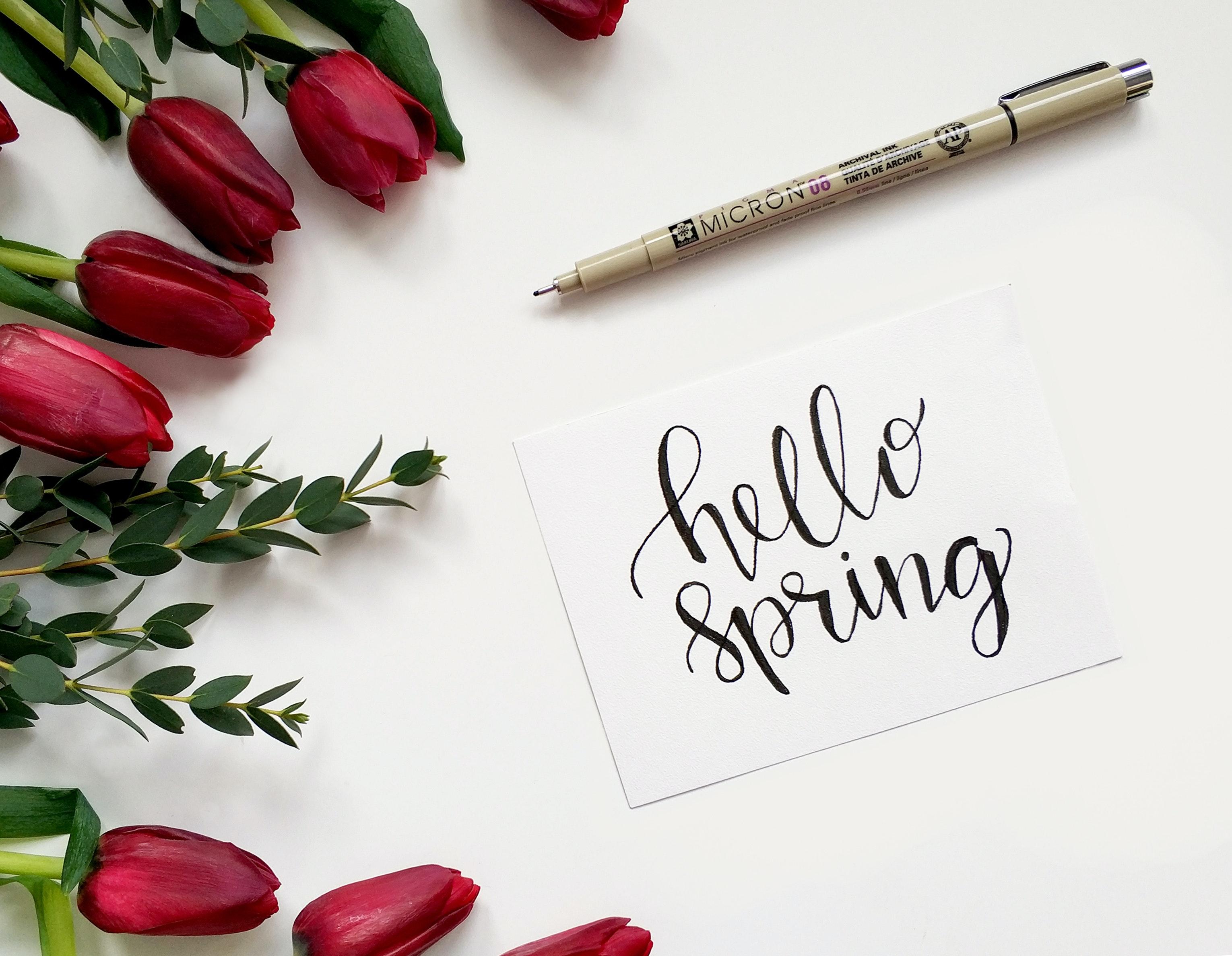 Keys to a Successful Spring Vacation - background banner